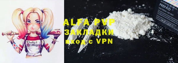 гашик Белокуриха