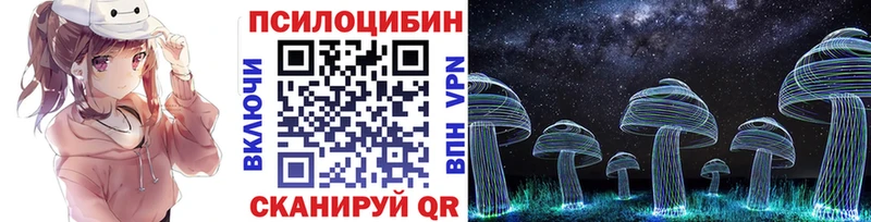 Галлюциногенные грибы Psilocybine cubensis  Бирюсинск 
